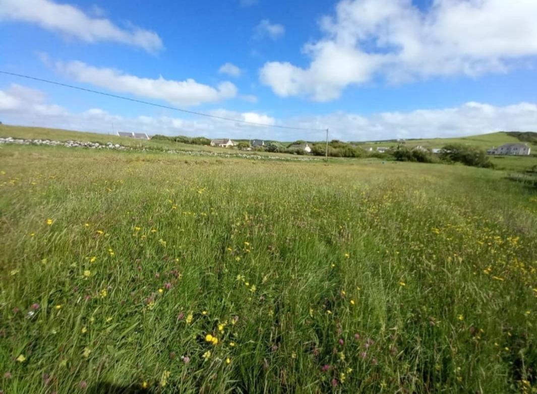 Wild Meadow Huts Villa Doolin Exterior foto
