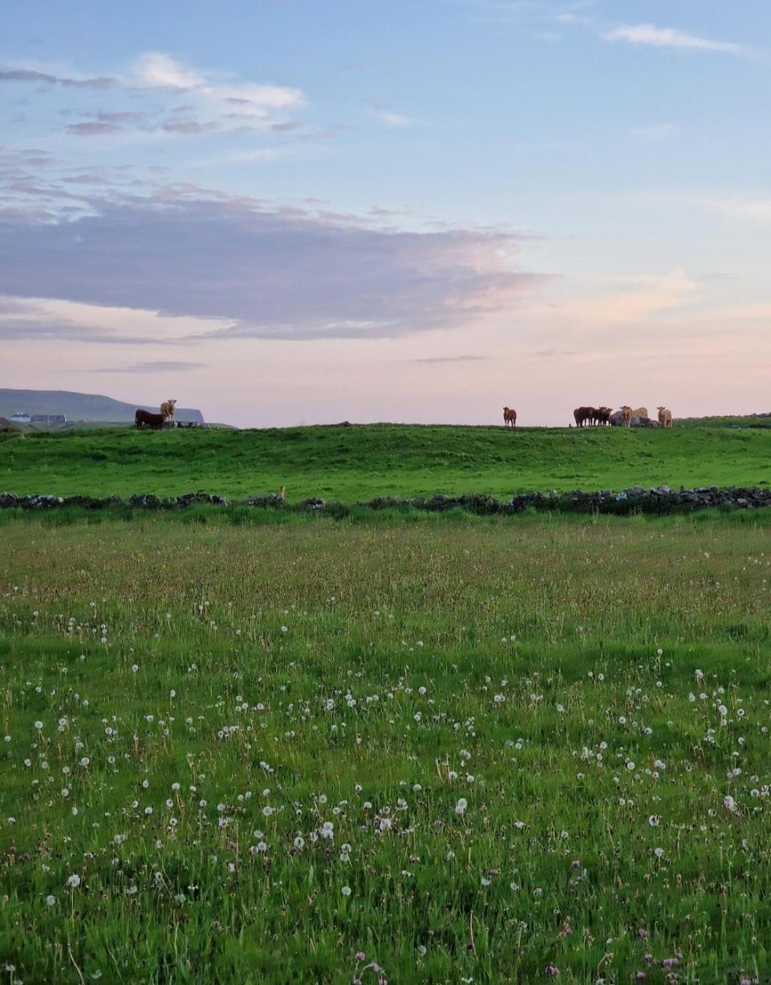 Wild Meadow Huts Villa Doolin Exterior foto