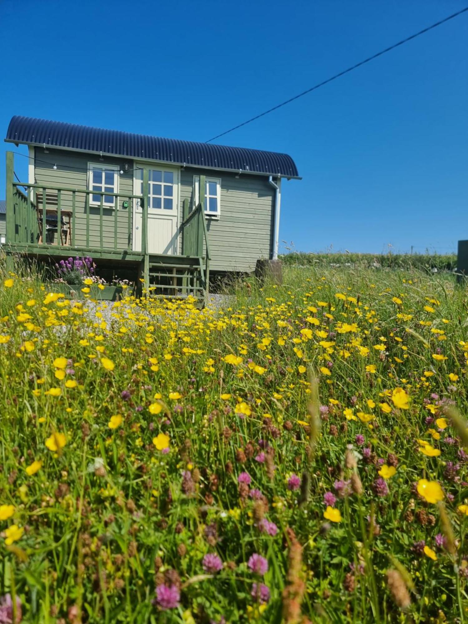 Wild Meadow Huts Villa Doolin Exterior foto