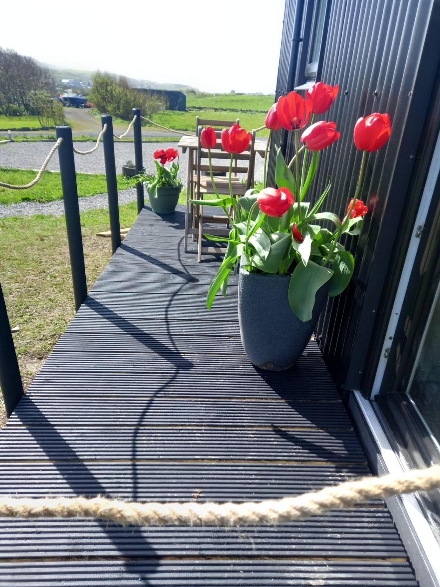 Wild Meadow Huts Villa Doolin Exterior foto