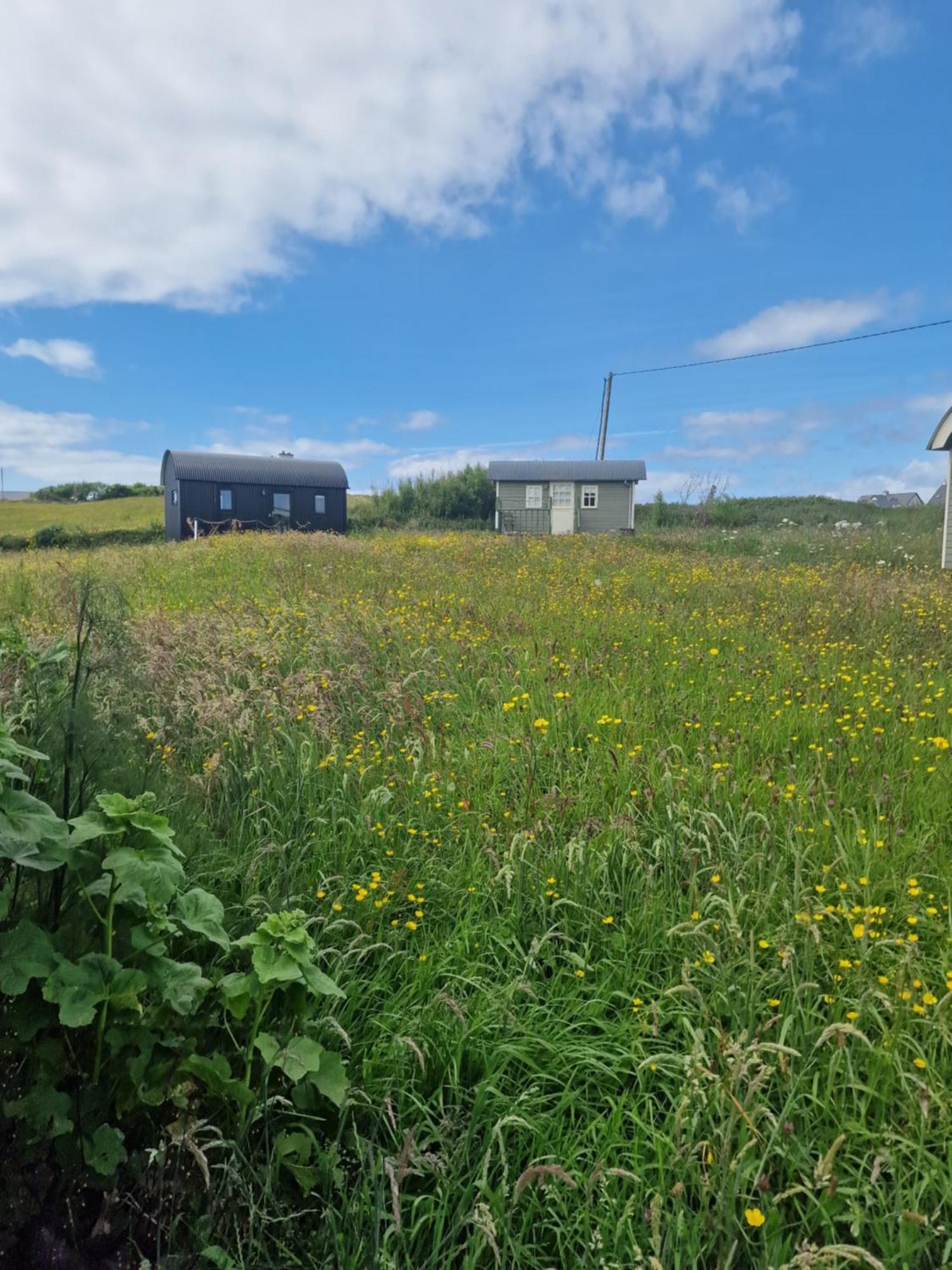 Wild Meadow Huts Villa Doolin Exterior foto