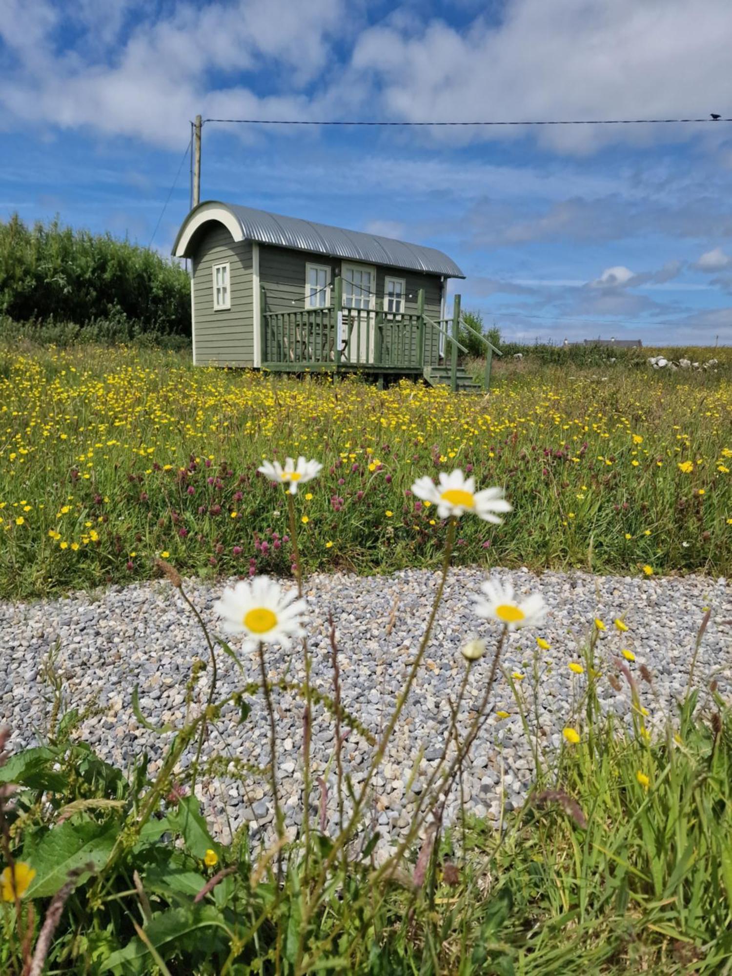 Wild Meadow Huts Villa Doolin Exterior foto