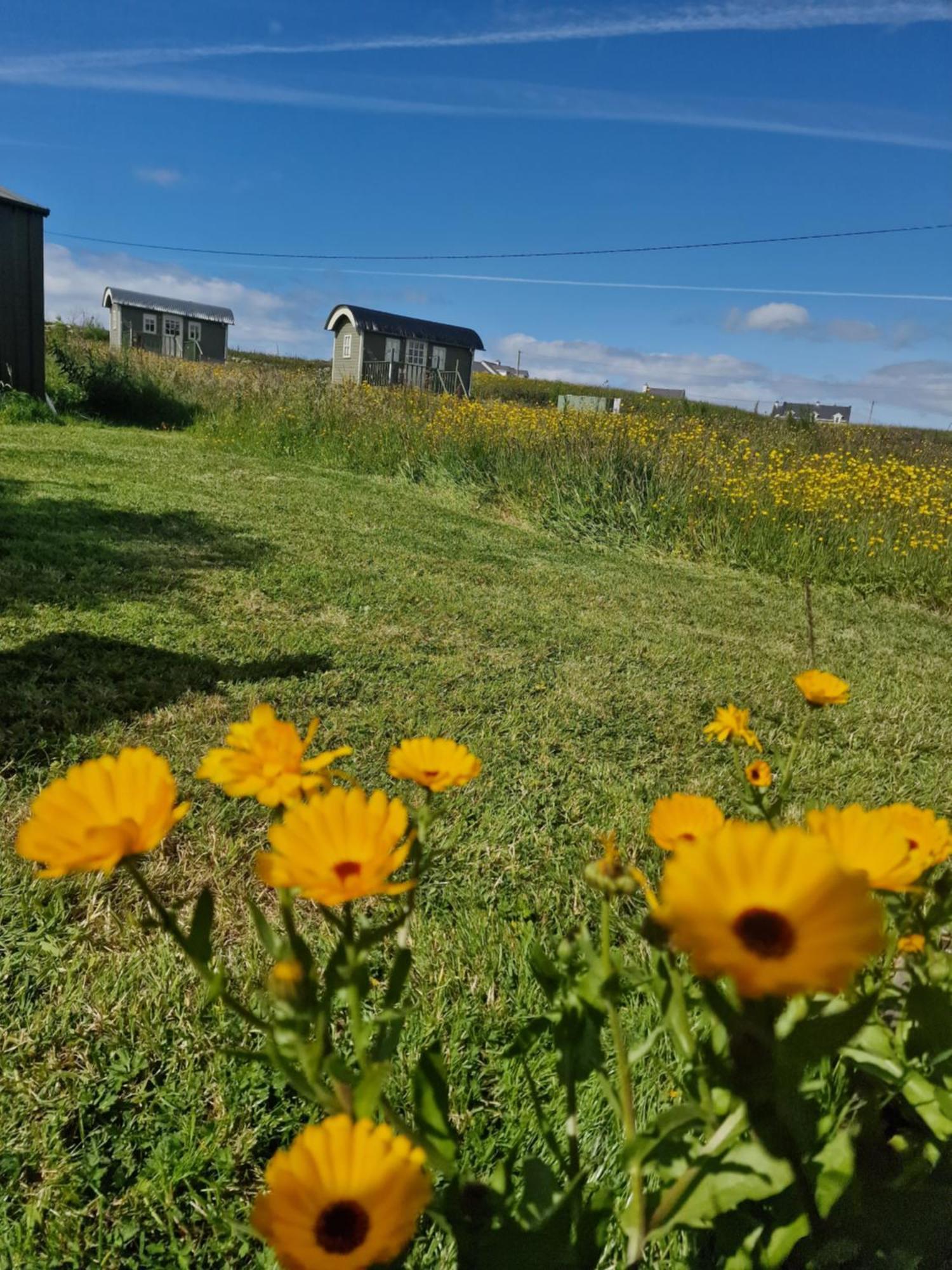 Wild Meadow Huts Villa Doolin Exterior foto