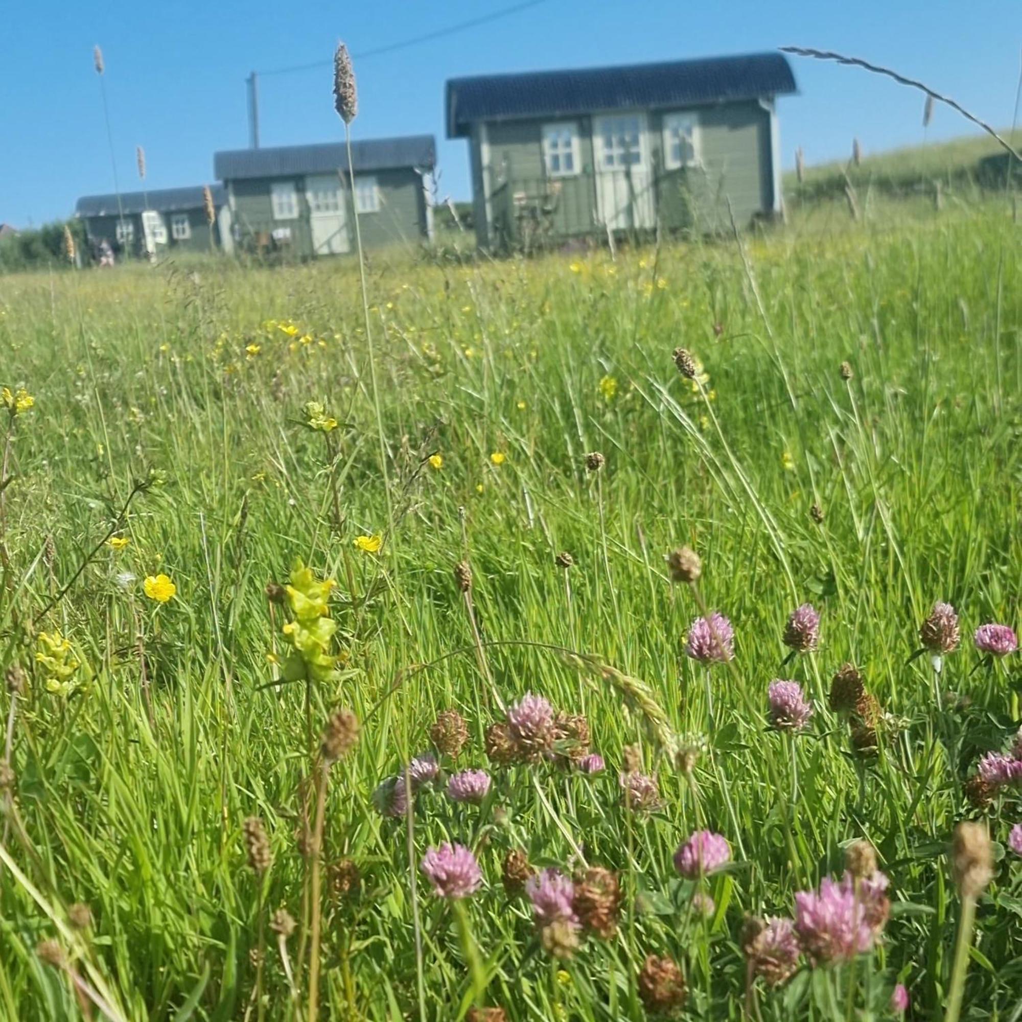 Wild Meadow Huts Villa Doolin Exterior foto